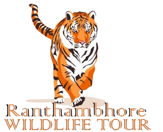 Ranthambhore Wildlife Tour